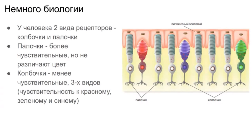 Light and colour: открытый семинар Xperience.ai